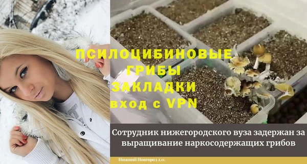 ПСИЛОЦИБИНОВЫЕ ГРИБЫ Лиски
