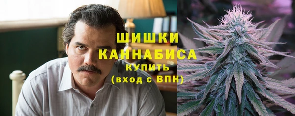 гидра Магас