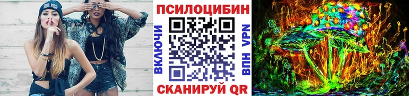 купить цена Нижнеудинск Псилоцибиновые грибы мицелий